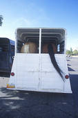 At first glance, this trailer appears to fit these horses nicely.Source: Internet Stock photo